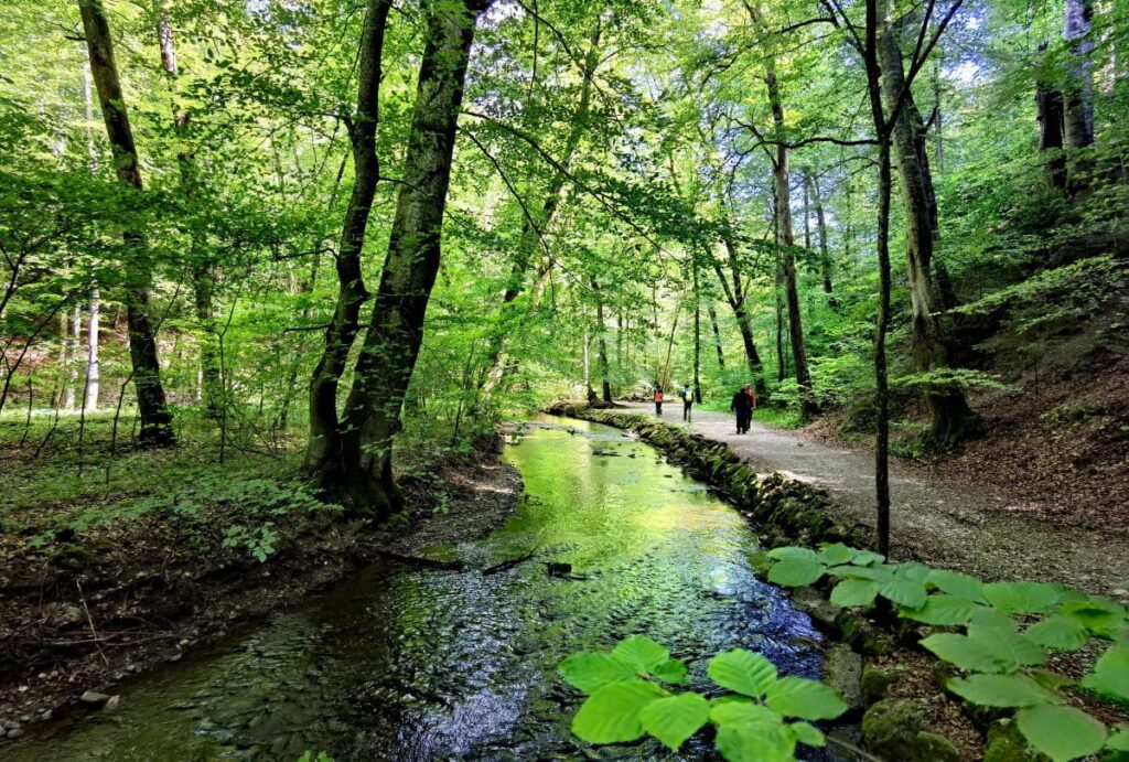 Wildromantischer Weg durch die Maisinger Schlucht