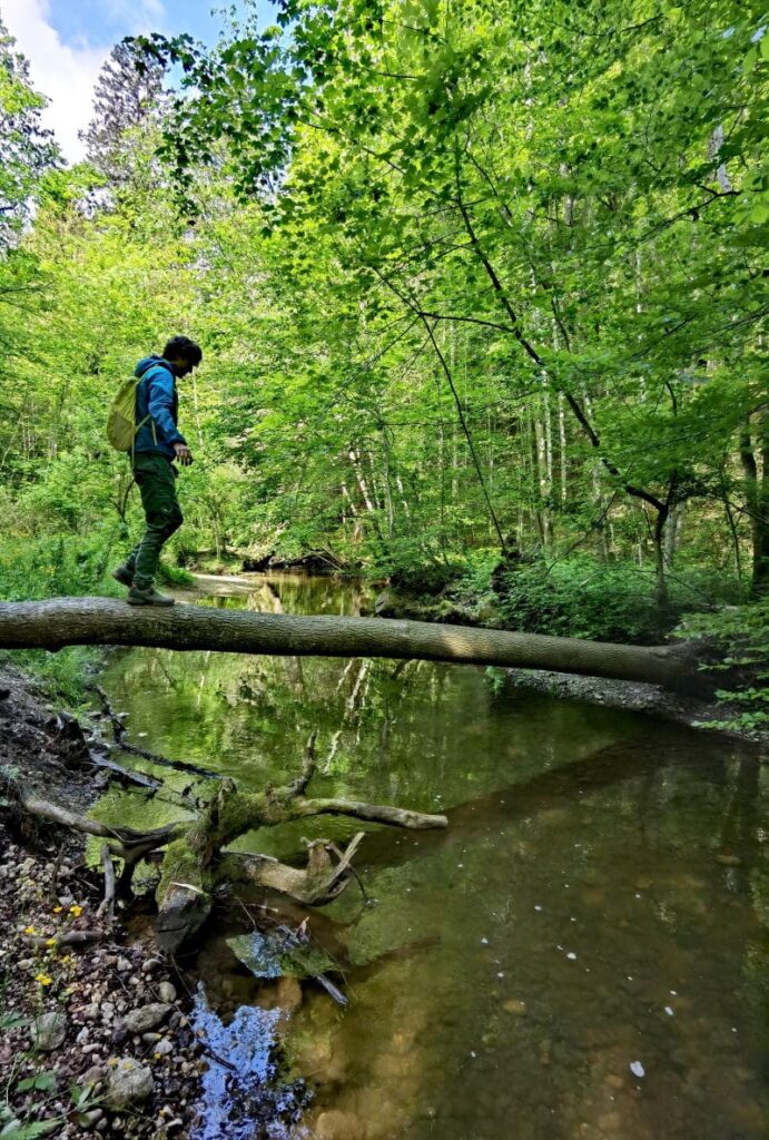 Maisinger Schlucht