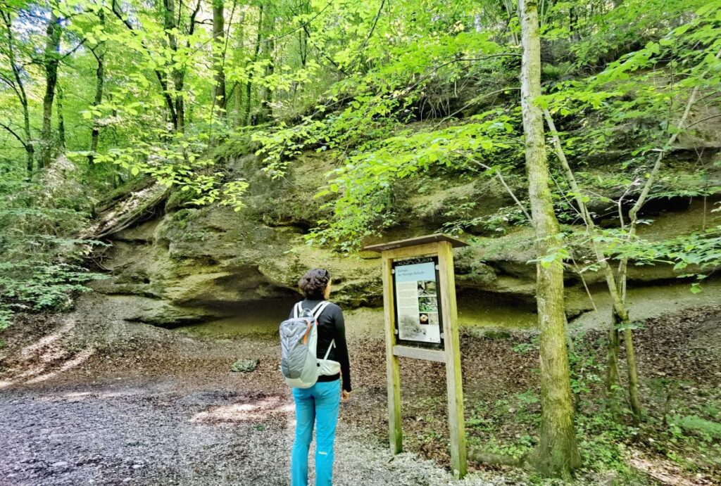 Eine Schlucht aus Nagelfluf-Gestein - einige Tafeln geben dir Informationen