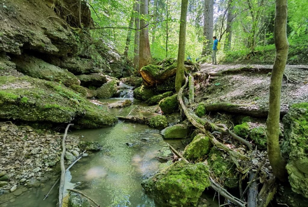 Romantisch und schön: Die Maisinger Schlucht Wanderung