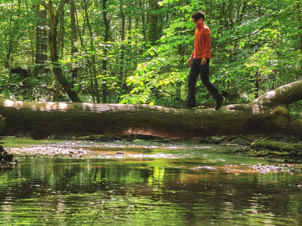 Maisinger Schlucht mit Kindern - wer traut sich auf dem dicken Baum über´s Wasser?