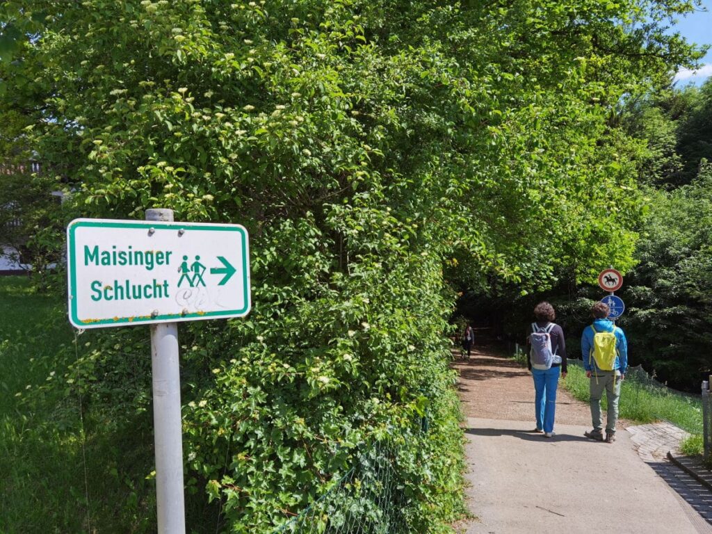 In die Maisinger Schlucht wandern