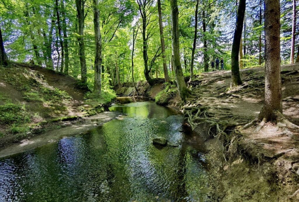 Romantische Bachlandschaft unterhalb des Sees: Der Maisinger Bach fließt Richtung Starnberger See