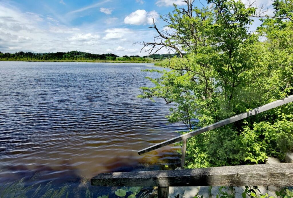 Blick über den Maisinger See