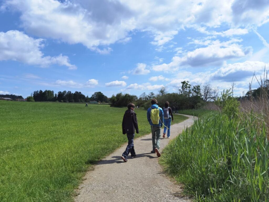 Maisinger See wandern