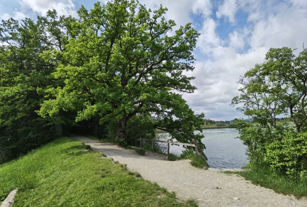 Maisinger See wandern