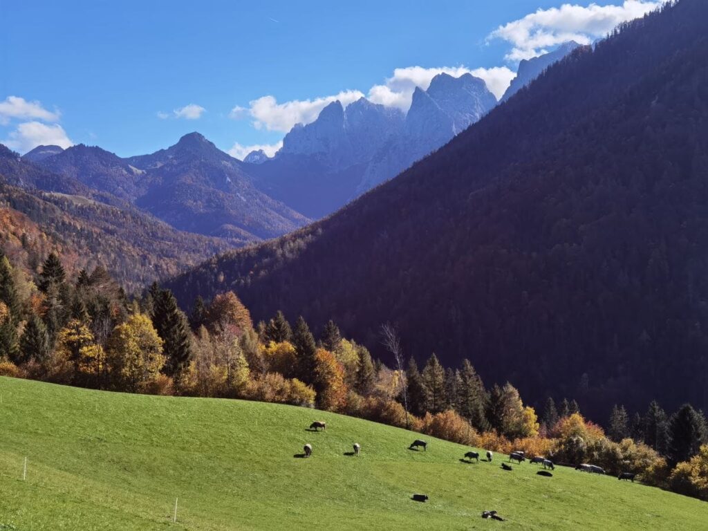 Ausflugsziele Österreich - das Kaisergebirge in Tirol
