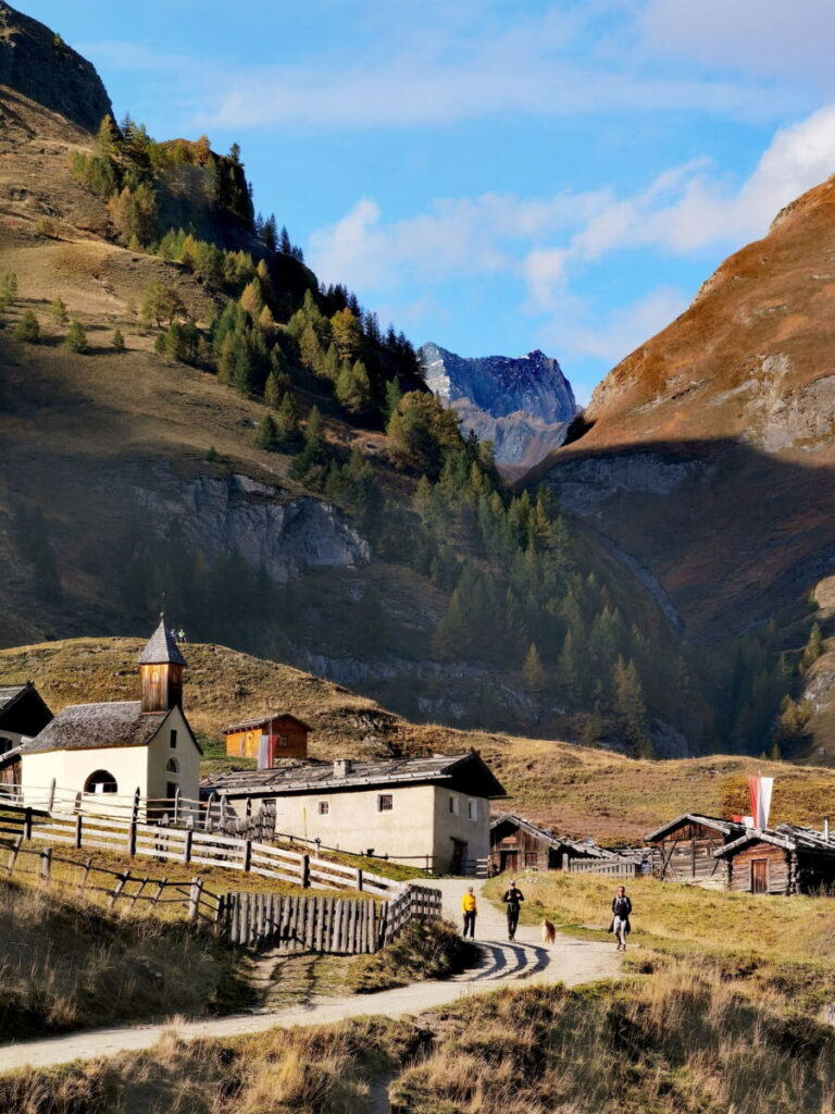 Fane Alm in Südtirol