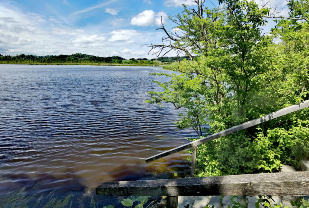 Der Maisinger See am Ortsrand