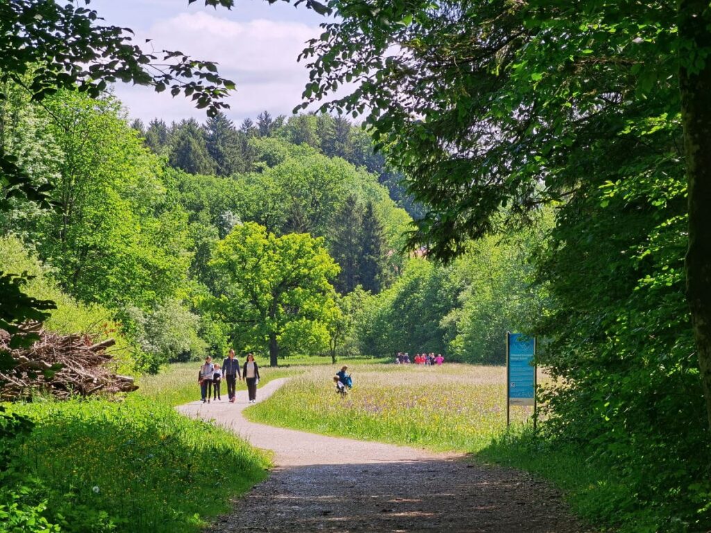 Maisinger Schlucht wandern